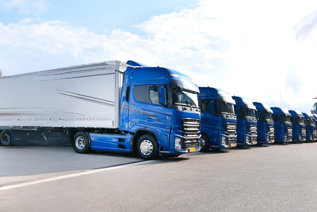 Land Transportation